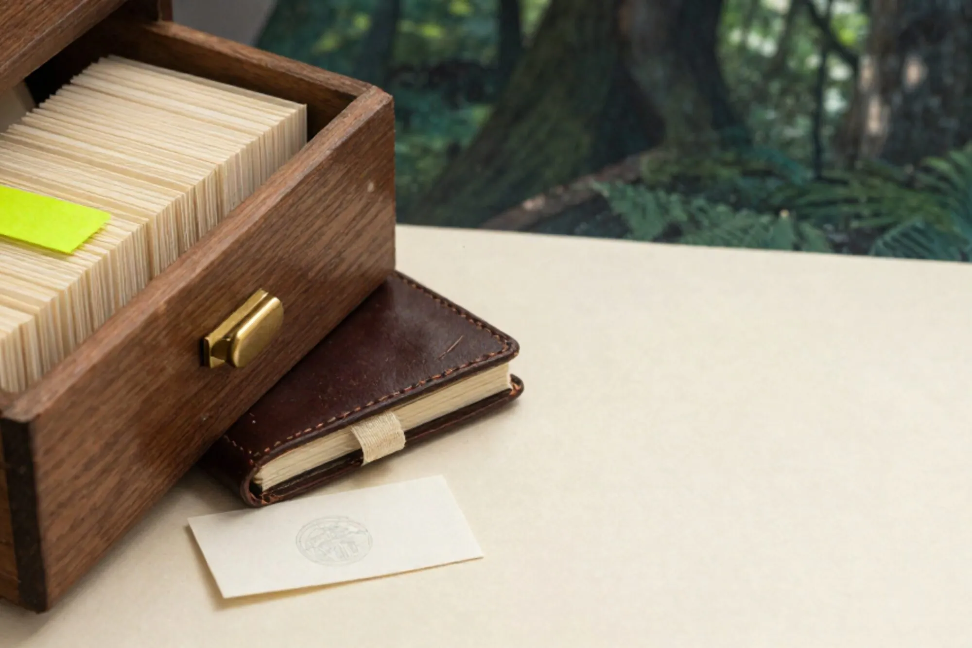 Open wooden index-card drawer with cream tabs, one chartreuse tab, brass divider, leather ledger, stamped card, ivory desk.